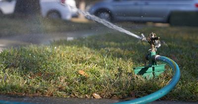 Portable lawn sprinkler plugged into hose watering lawn of a Denver property